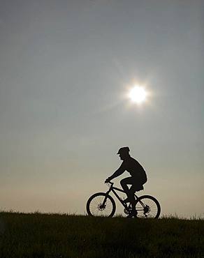 Cyclist on bike tour with mountain bike, silhouette against the light, Salzkammergut, Upper Austria, Austria, Europe