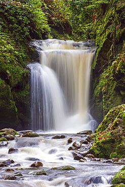 Geroldsau Waterfall, Grobbach River, Geroldsau, Baden-Baden, Northern Black Forest, Baden-Wuerttemberg, Germany, Europe