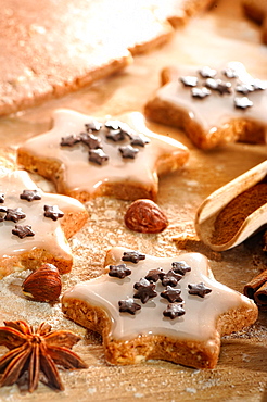 Christmas cookies, cinnamon stars, Germany, Europe