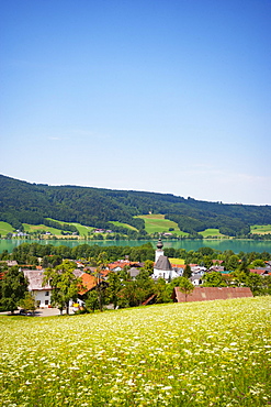 Zell am moss with Irrsee, in spring, Salzkammergut, Upper Austria, Austria, Europe