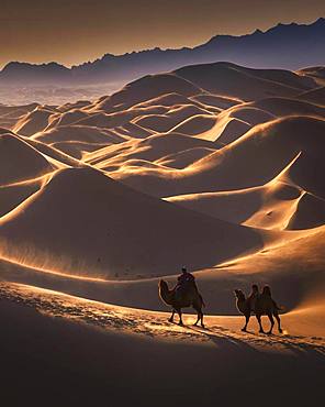 Windy day in the Gobi desert. Umnugobi province, Mongolia, Asia