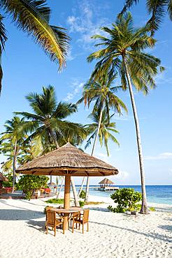 Stranbdar with parasol on the beach with (Cocos nucifera), Filaidhoo, Raa Atoll, Maldives, Asia