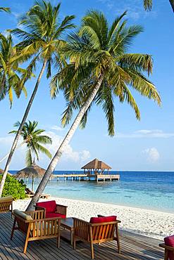 Stranbdar with lounge chairs under (Cocos nucifera) the beach, in the background jetty, Filaidhoo, Raa Atoll, Maldives, Asia