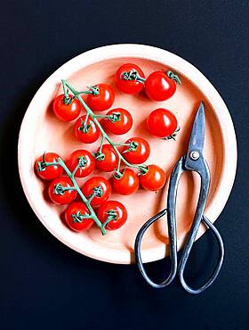 Tomato dish, fresh cut tomatoes