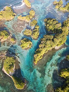 Aerial view, tropical mangrove islands in the Caribbean, Escudo de Veraguas, Panama, Central America