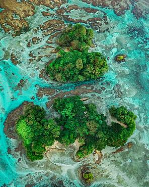 Aerial view, tropical mangrove islands in the Caribbean, Escudo de Veraguas, Panama, Central America