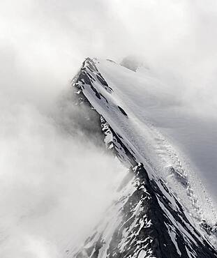 Rugged mountain peaks, degree of the Grosser Moeseler with glacier Furtschaglkees, snow-covered mountains, high alpine landscape in fog, Berliner Hoehenweg, Zillertaler Alps, Zillertal, Tyrol, Austria, Europe