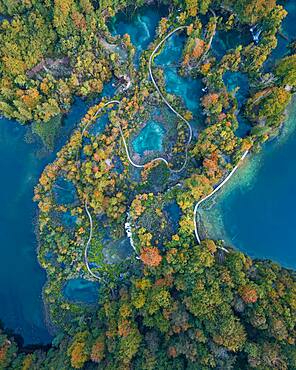 Aerial view, winding path through Plitvice Lakes in autumn, National Park Plitvice Lakes, Dalmatia, Croatia, Europe