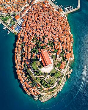 Aerial view, Rovinj old town with the church St. Euphemia from above, Croatia, Europe