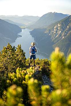 Mountaineer, young man looking over mountain landscape, mountain pines at the summit of the Baerenkopf, view of the Achensee at sunset, Karwendel, Tyrol, Austria, Europe