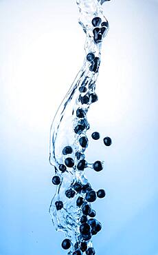 Fresh blueberries in the water jet with water splashes in the air, ihell blue background