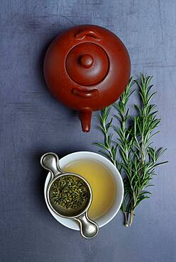 A cup of rosemary tea with tea strainer, teapot, Germany, Europe