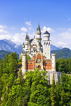 Neuschwanstein Castle in summer, near Schwangau, Ostallgaeu, Allgaeu, Swabia, Bavaria, Germany, Europe