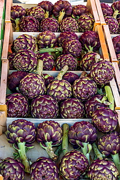 Crate of artichokes on a market stale