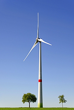 Wind power plant at a green corn field with trees, blue sky, North Rhine-Westphalia, Germany, Europe