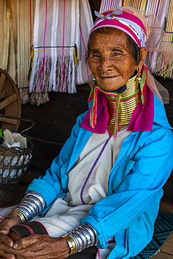 Portrait of a Padaung, giraffe, woman, Loikaw area, Panpet, Kayah state, Myanmar, Asia