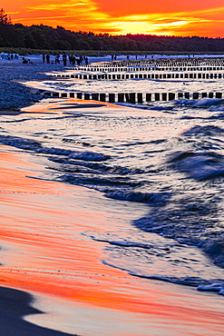 Strollers and groynes at the beach of Zingst at sunset, Zingst, peninsula Zingst, Darss, Fischland, Baltic Sea, Mecklenburg-Western Pomerania, East Germany