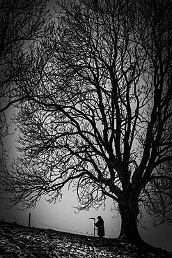 Man with scythe under tree with starry sky, Oberguenzburg, Ostallgaeu, Bavaria, Germany, Europe