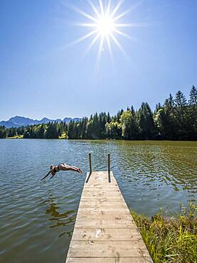 Young woman taking a header into a lake, Geroldsee, Mittenwald, Karwendel, Bavaria, Germany, Europe