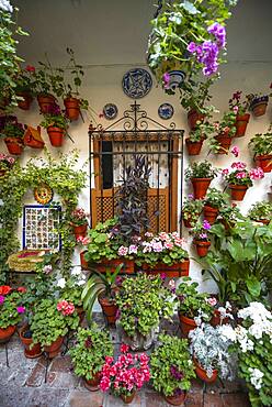 Window in the courtyard decorated with flowers, geraniums in flower pots on the house wall, Fiesta de los Patios, Cordoba, Andalusia, Spain, Europe