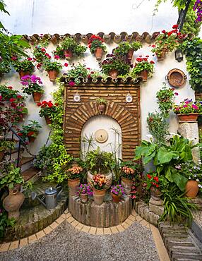 Fountain in the courtyard decorated with flowers, geraniums in flower pots on the house wall, Fiesta de los Patios, Cordoba, Andalusia, Spain, Europe