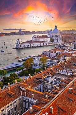 Evening atmosphere, dramatic sunset at the Grand Canal, Basilica Santa Maria della Salute, Venice, Veneto region, Italy, Europe