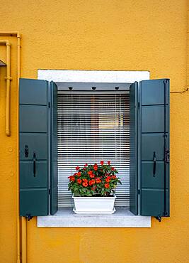 Yellow house, window with flowers, colorful house, colorful facade, Burano Island, Venice, Veneto, Italy, Europe