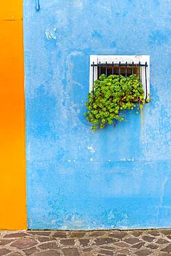 Blue house wall with window, houses, colorful facade, Burano Island, Venice, Veneto, Italy, Europe