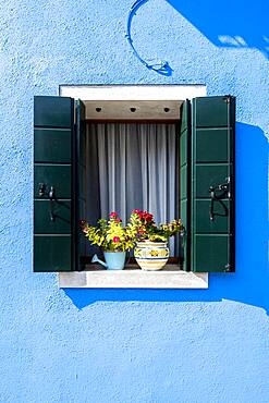 Blue house wall with window and flower decoration, colorful houses, colorful facade, Burano Island, Venice, Veneto, Italy, Europe