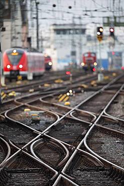 Rails, track system with switches at the main station, Cologne, North Rhine-Westphalia, Germany, Europe