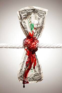 Wrinkled american dollar tied up and bleeding in rope