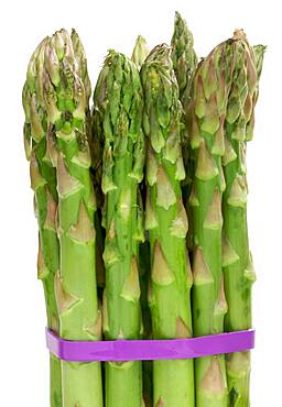 Fresh organic asparagus isolated on a white background