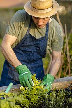 Gardener