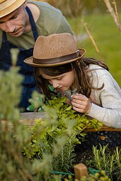 Father and daughter working on the raised bed