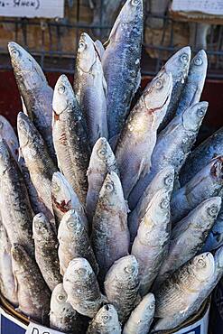 Deep frozen fish at the Fish and meat market, Yakutsk, Sakha Republic, Russia, Europe