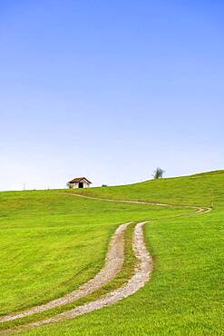 Landscape near Rieden am Forggensee, Ostallgaeu, Allgaeu, Swabia, Bavaria, Germany, Europe