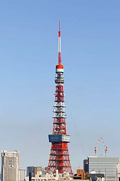 Cityscape with Tokyo Tower in front of blue sky, Tokyo, Japan, Asia