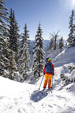 Young woman on ski tour, ski tourers, descent from Teufelstaettkopf, Ammergau Alps, Unterammergau, Bavaria, Germany, Europe