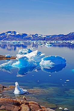 Icebergs reflected in the fjord, Tiniteqilaaq, Tasilaq, Greenland, Denmark, North America