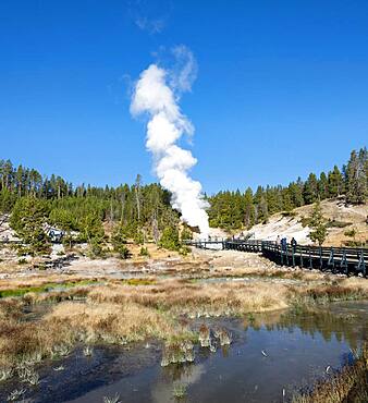 Mud Volcano, steaming thermal spring in the back, Dragon's Mouth Spring, Yellowstone National Park, Wyoming, USA, North America