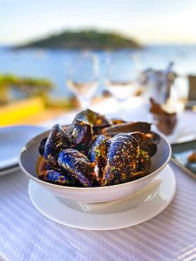 Mytilus (Mytilus) with tomato sauce and garlic in the evening sun by the sea, Majorca, Spain, Europe