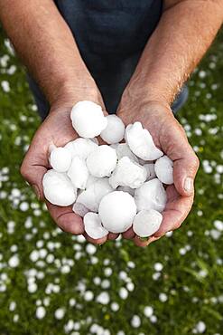 Golfball-sized hailstones in hands, Mondsee, Upper Austria, Austria, Europe