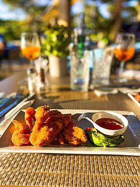 Fried chicken wings with sweet and sour sauce, Port Andratx, Majorca, Spain, Europe