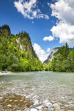 River Enns, Gesaeuse National Park, Styria, Austria, Europe