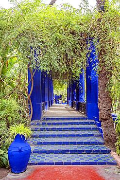 Marrakech, Morocco, January 15, 2020:Colorful architecture in beautiful Majorelle Garden established by Yves Saint Laurent, Africa