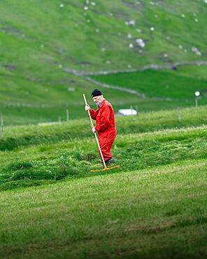 Farmer avenges cut grass together, Sandvik, Suduroy, Faro Islands