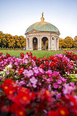 Blooming red flowers in the Hofgarten with the Diana Temple, Munich, Upper Bavaria, Bavaria, Germany, Europe