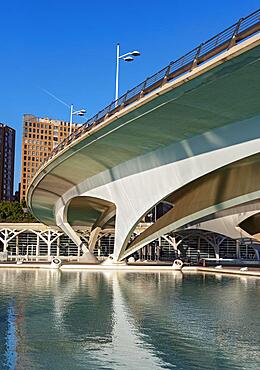 Pont de Montolivet Bridge, Valencia, Spain, Europe