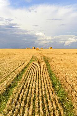 Grain field, stubble field with round bales of straw, blue cloudy sky, North Rhine-Westphalia, Germany, Europe