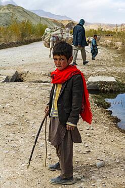 Donkey carawan, Yakawlang province, Bamyan, Afghanistan, Asia